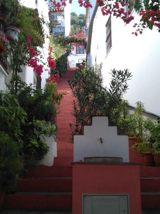 Casa El Callejon De Benamahoma Exterior photo